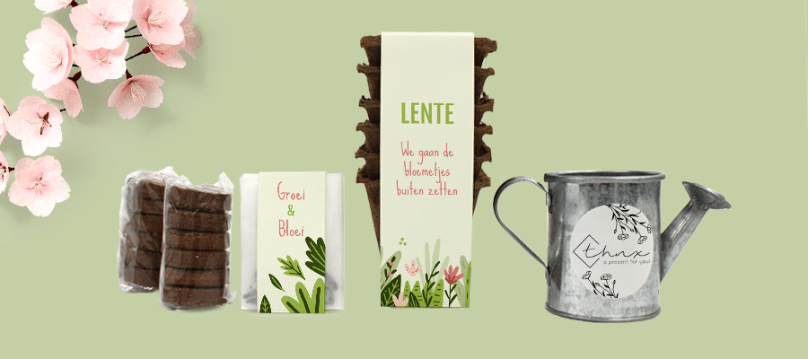 lente-cadeau-THNX