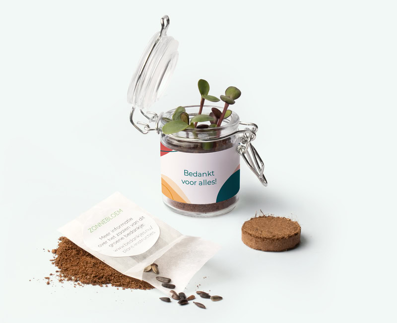 weck jar green small with flower seeds sustainable personalised thank you business