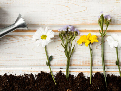 Gietertje die plantjes water geeft blogafbeelding duurzame bedankjes