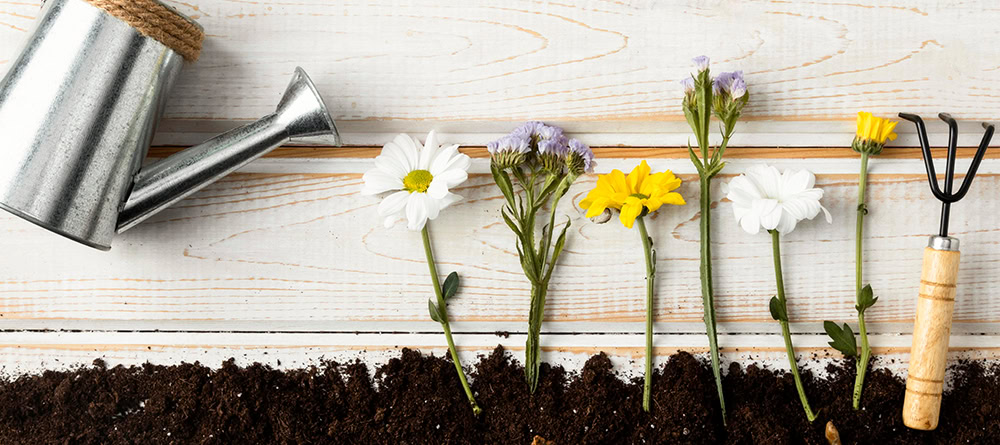 Gietertje die plantjes water geeft blogafbeelding duurzame bedankjes