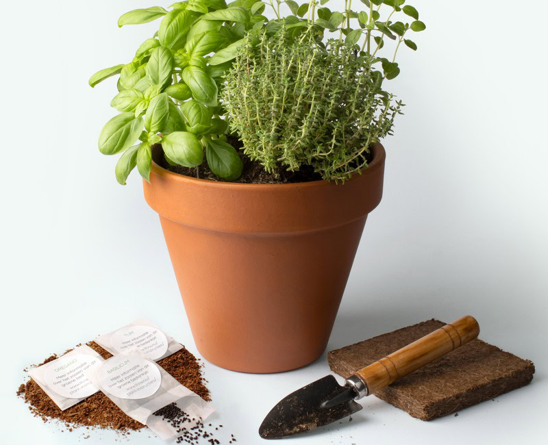 flowerpot with name as a great sustainable gift