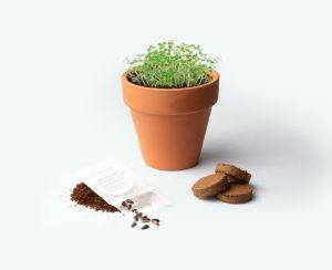 medium bloempotje met gepersonaliseerde wikkel met naam als duurzaam bedankt cadeau