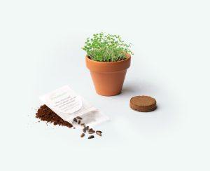 small flower pot with personalised wrapper with logo as a business thank-you gift