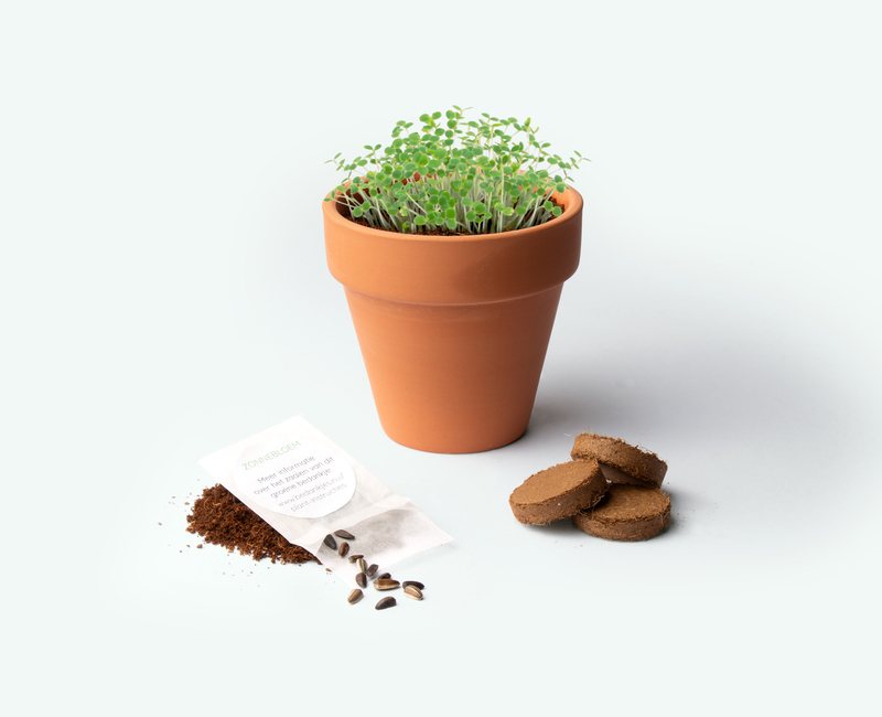 medium flower pot with personalised wrapper with logo as business giveaway
