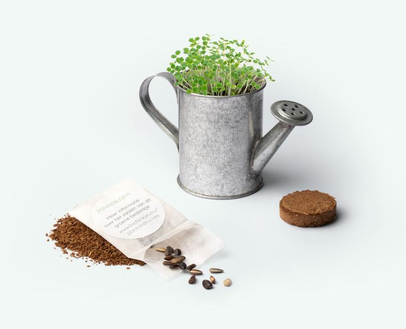 Mini watering can with flower seeds as a business thank-you gift