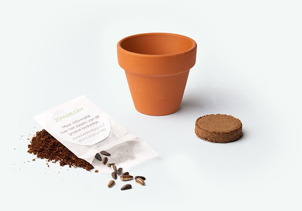 plant instructies