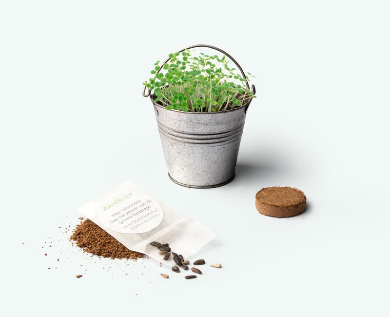 mini bucket as a green thank-you gift with sowing tablet and flower seeds of your choice