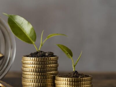 blog goedkope bedankjes met geld en een plantje