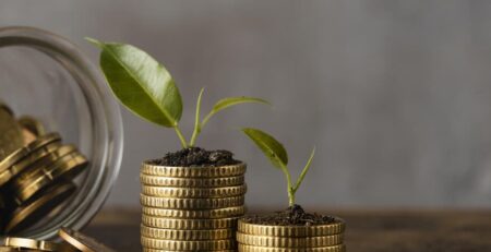blog cheap thank yous with cash and a plant