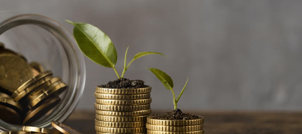 blog cheap thank yous with cash and a plant